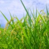 Thumbnail of related posts 024