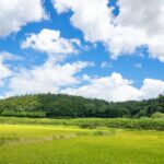 Thumbnail of related posts 048