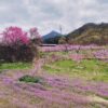 Thumbnail of related posts 068