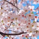 Thumbnail of related posts 089