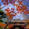 Thumbnail of related posts 096
