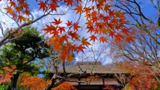 Thumbnail of new posts 083