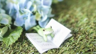 Thumbnail of new posts 092